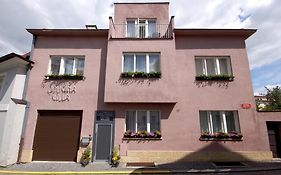 Libusina Villa